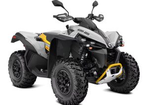 Can-Am Renegade 650